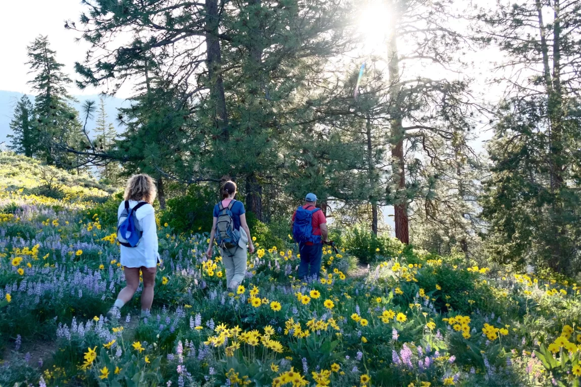 I Tried a New Outdoor Hike for My Inner Wellbeing: Mood Walks
