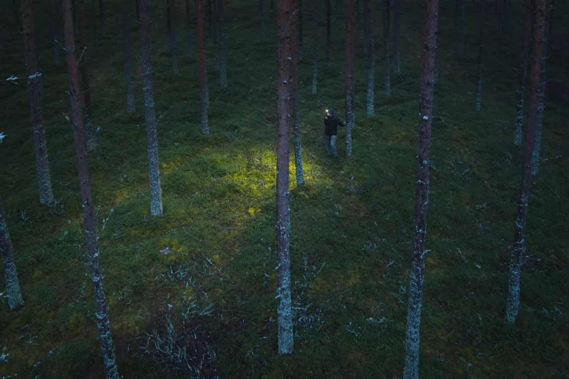 How to Survive if You Get Lost in the Backcountry